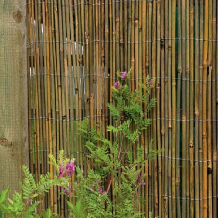 The Good Life Bamboo Cane Screen 1.5m x 4m