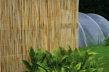 The Good Life Reed Screen 1m x 4m