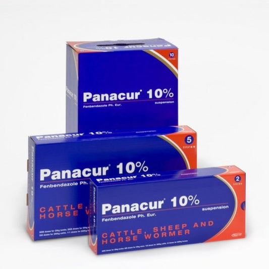 Panacur 10% Oral Suspension
