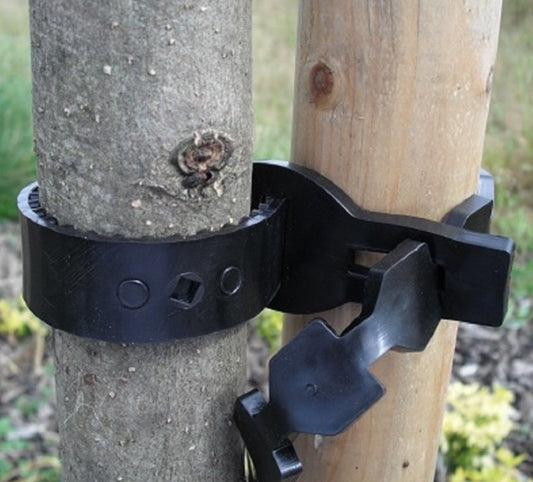 Rainbow Super Softee Tree Ties 22mm - Single