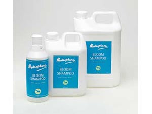 Hydrophane Bloom Shampoo 500ml