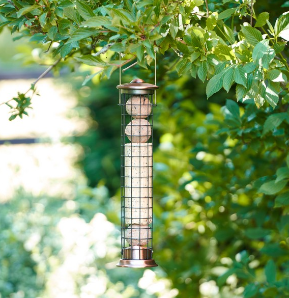 Harrisons Suet Roll with Seeds & Insects Box 6x500g