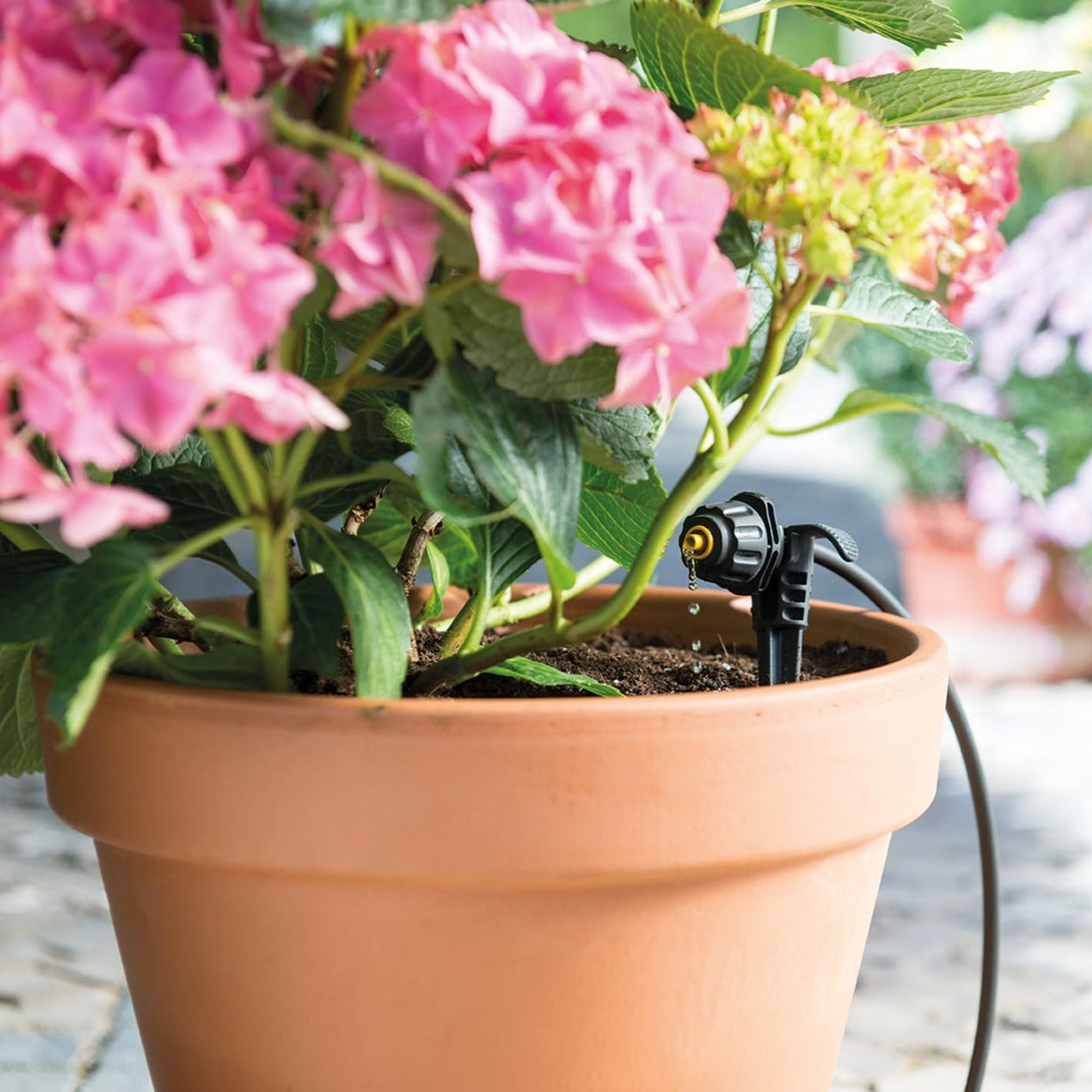 Hozelock Easy Drip Micro Kit 7024