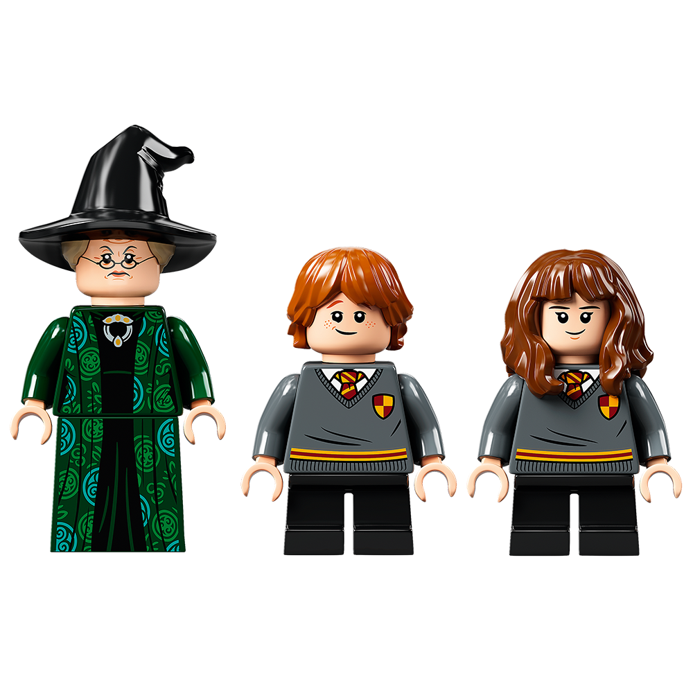 LEGO Harry Potter Hogwarts Moment: Transfiguration Class 76382
