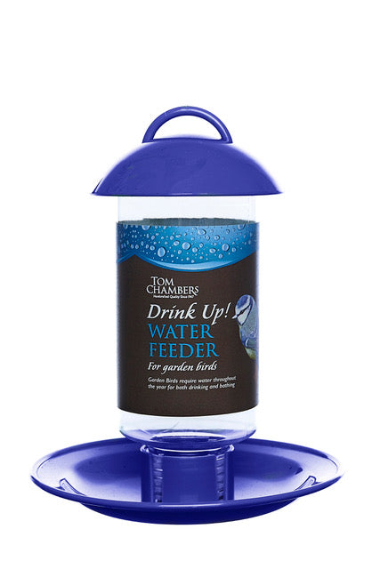 Tom Chambers Drink Up! Water Feeder