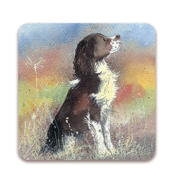 Alex Clark Jerry Coaster