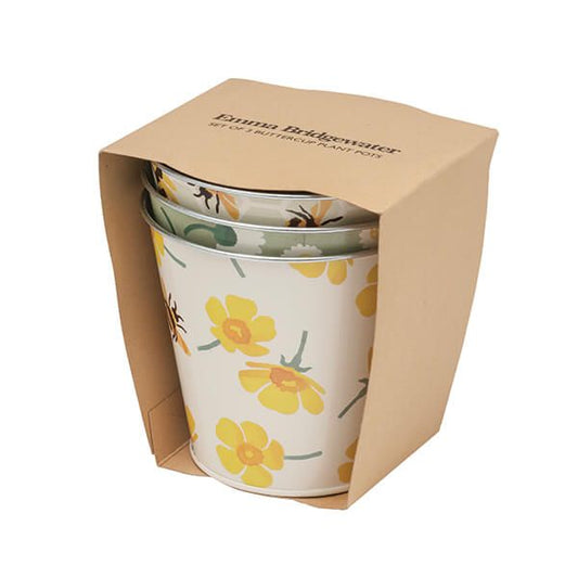 Emma Bridgewater Buttercup Plant Pots Set of 3