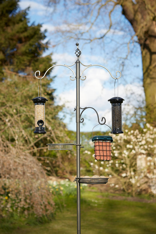Tom Chambers Bird Station Classic Pewter