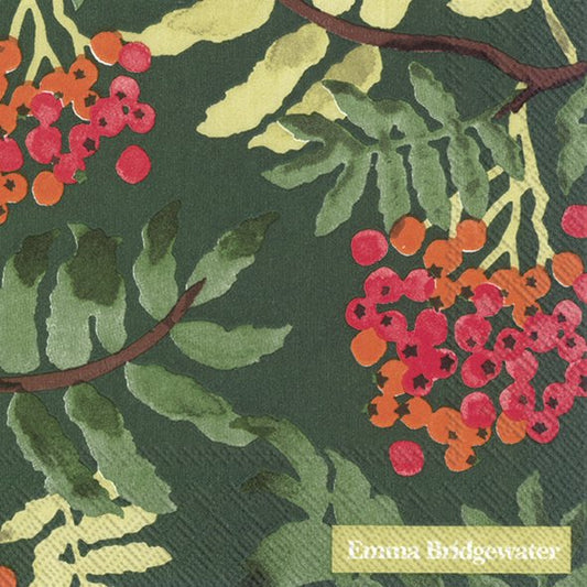 Emma Bridgewater Cocktail Napkins Rowan Green