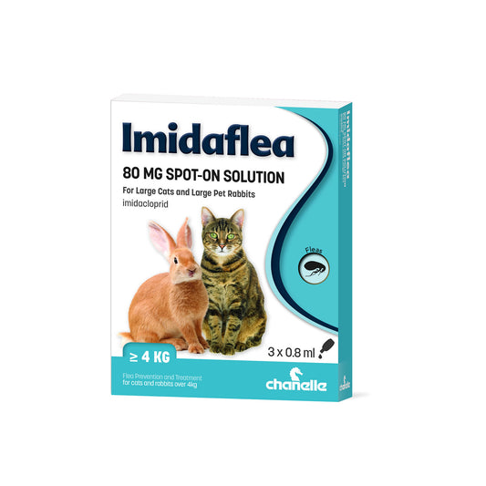 Imidaflea 80mg Spot-On for Large Cats & Rabbits Over 4kg