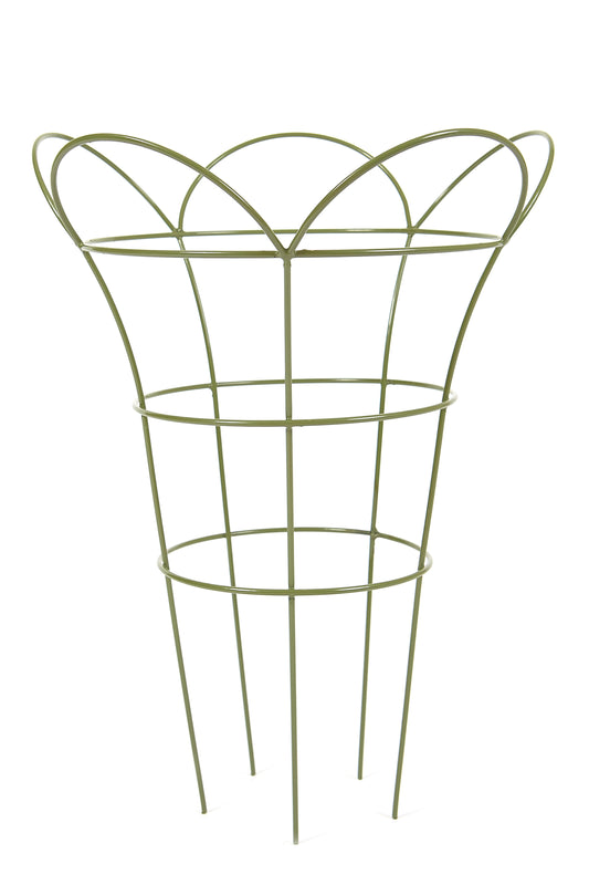 Tom Chambers Cottage Garden Herbaceous Basket