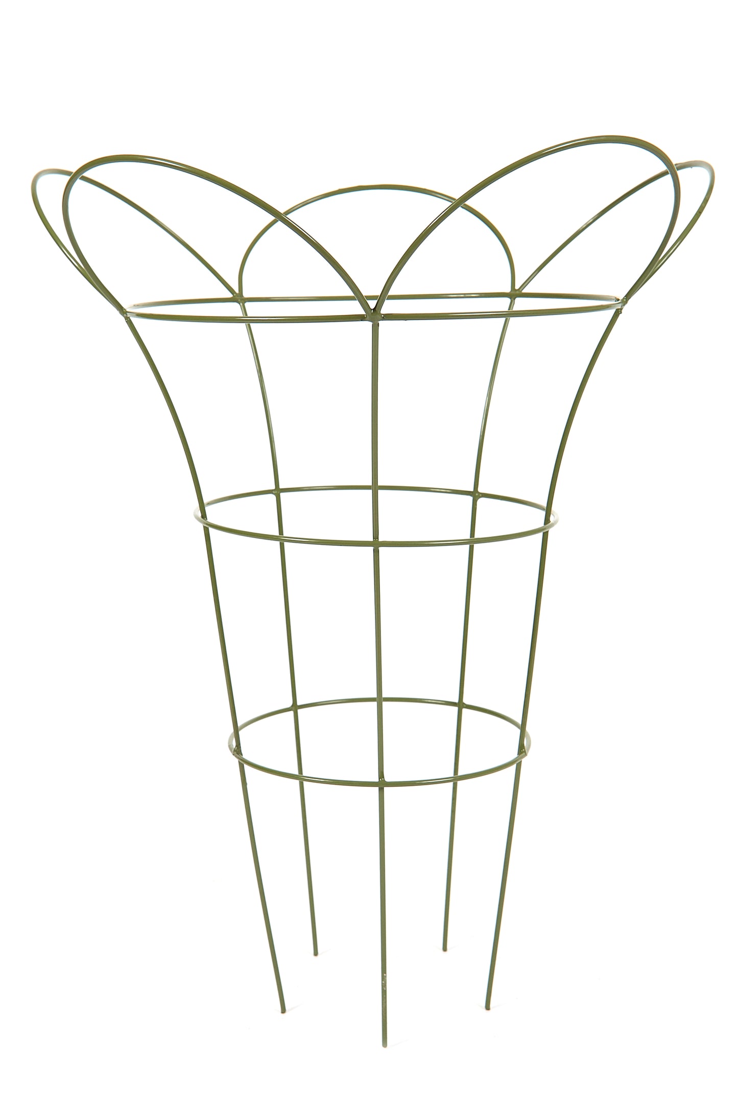 Tom Chambers Cottage Garden Herbaceous Basket