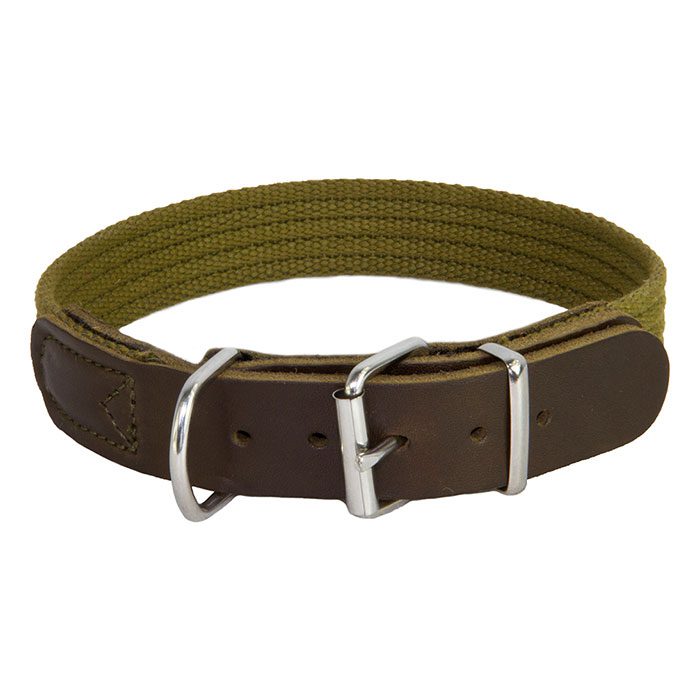 Earthbound Cotton Collar Green