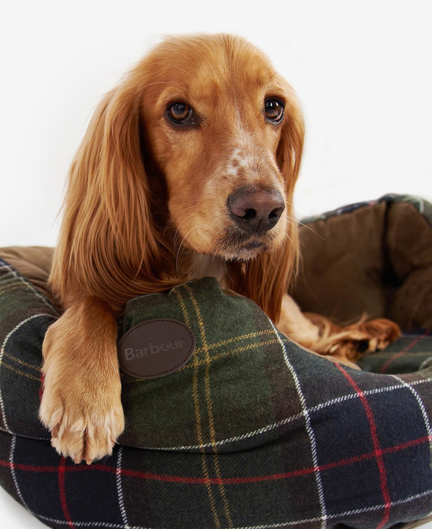 Barbour Luxury Dog Bed 30in