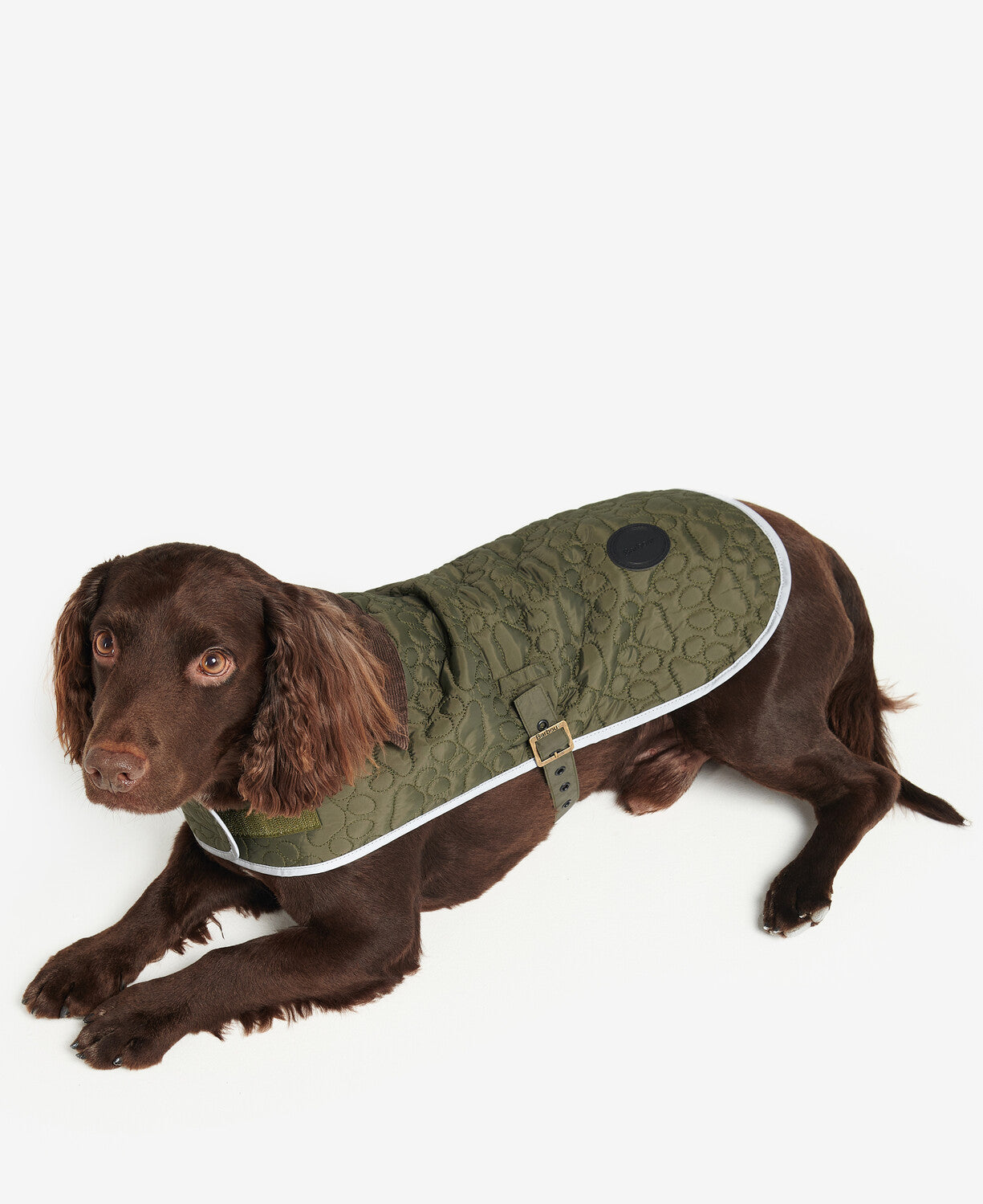 Barbour Paw Quilt Dog Coat