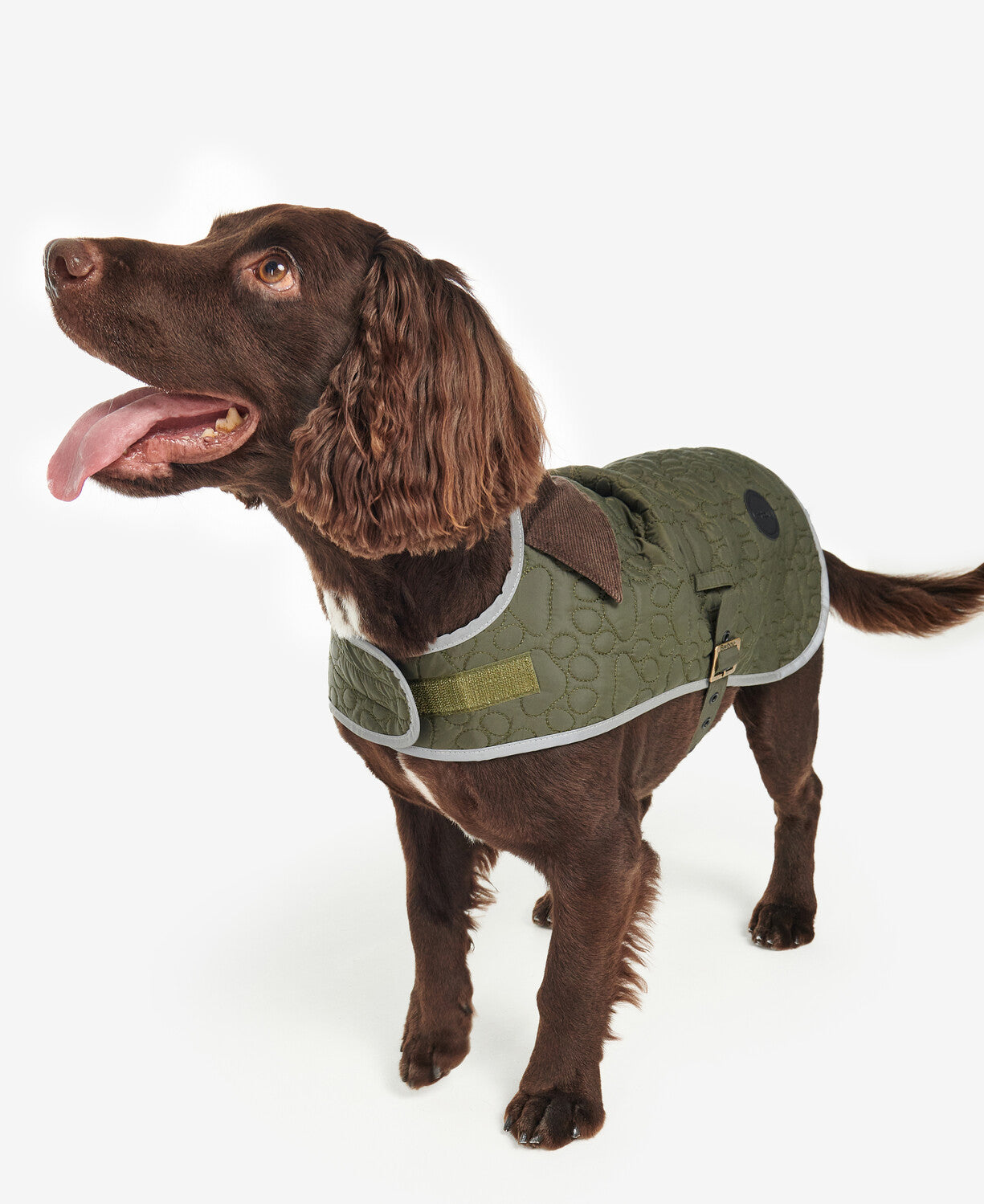 Barbour Paw Quilt Dog Coat