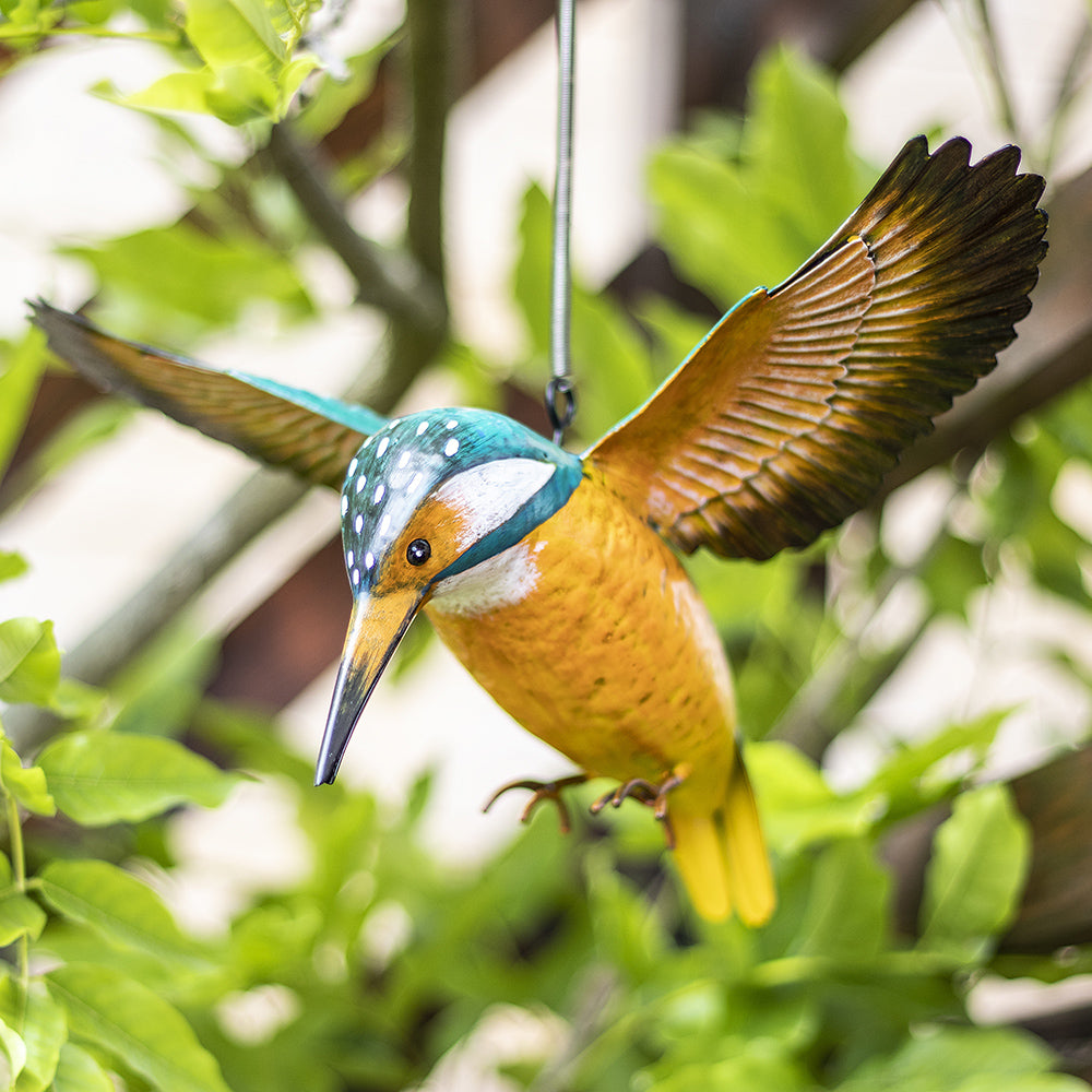 La Hacienda British Birds in Flight Kingfisher