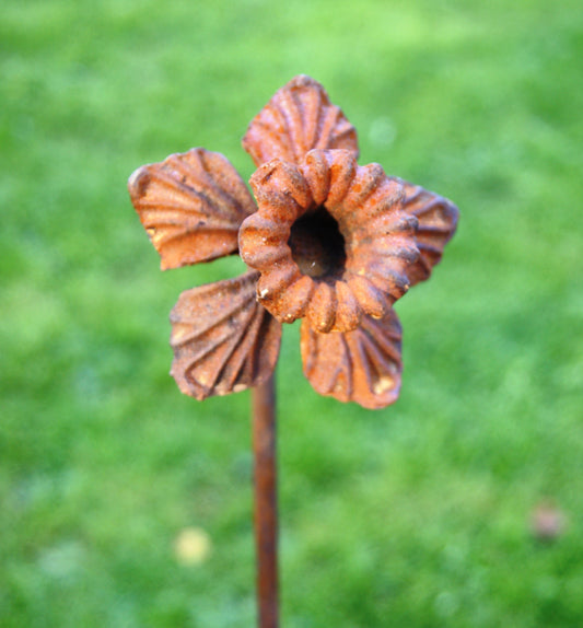 Poppy Forge Daffodil Plant Pin Support 5ft