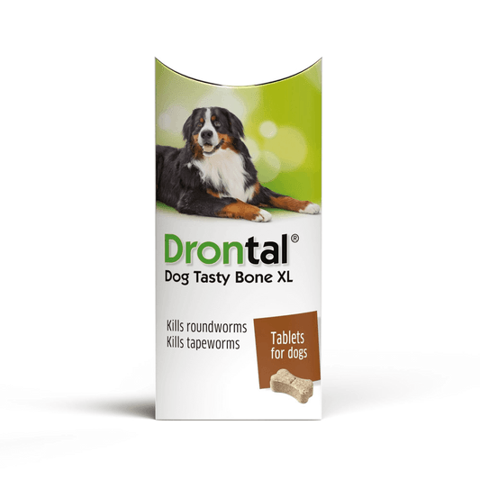 Drontal Dog Tasty Bone XL Wormer 2-Pack