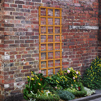Forest Garden Heavy Duty Trellis