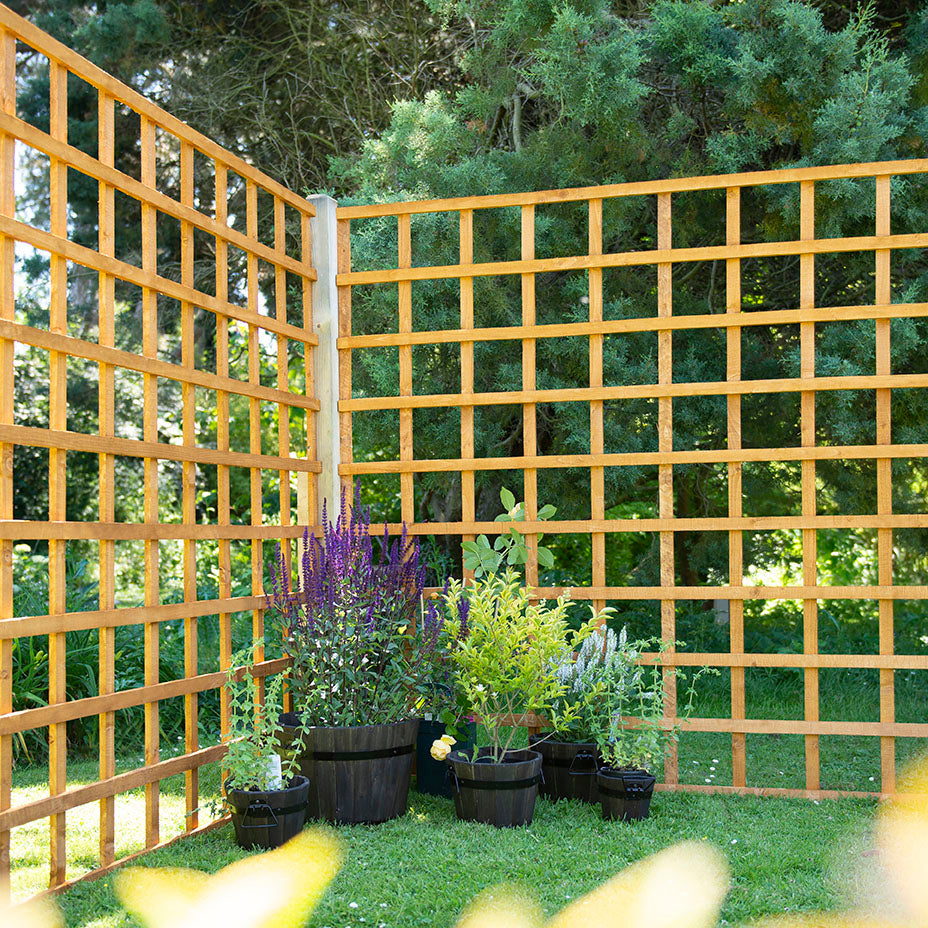Forest Garden Heavy Duty Trellis