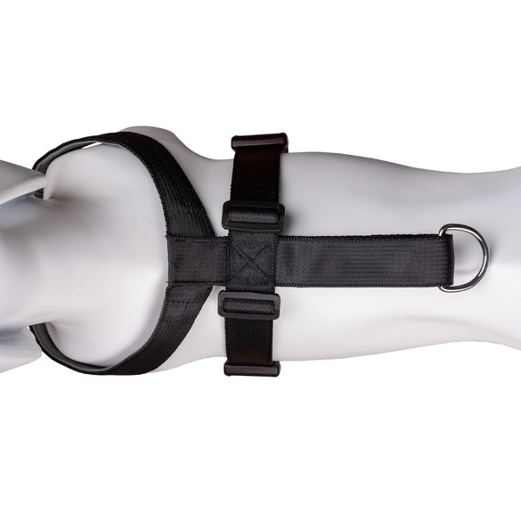 CarSafe Dog Travel Harness X Small