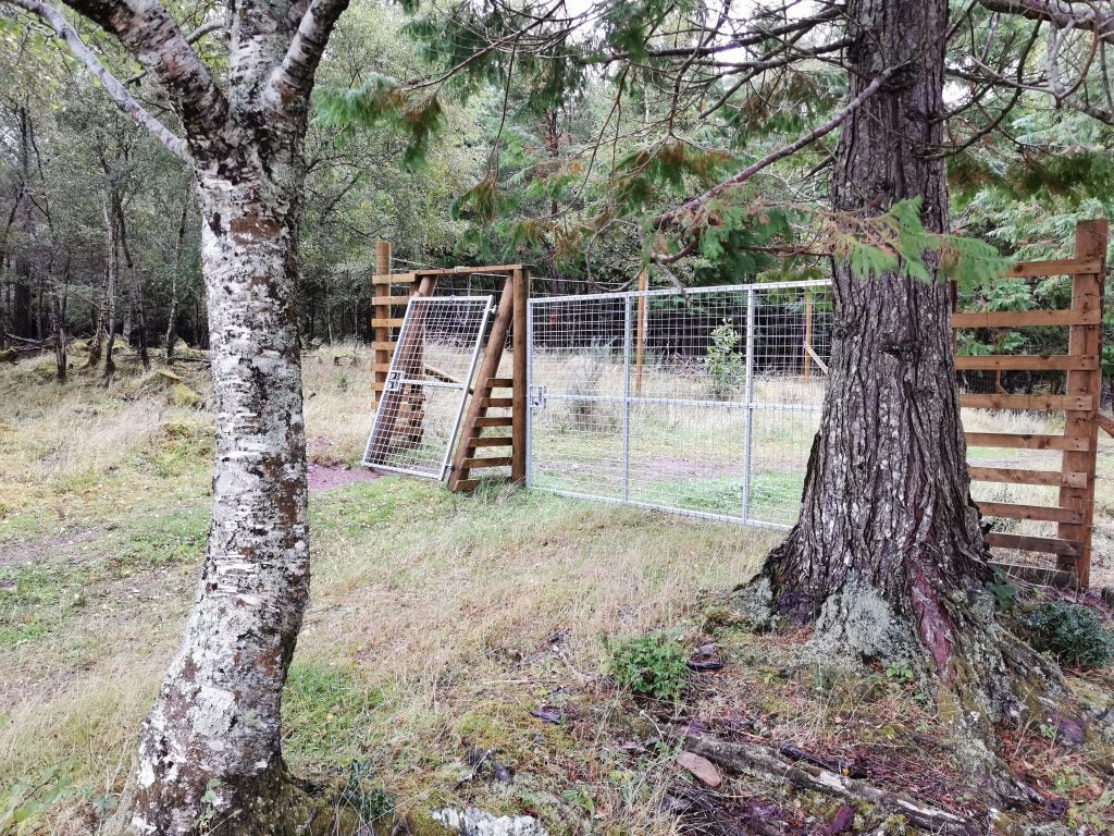 IAE Fully Meshed Deer Gate 3050mm