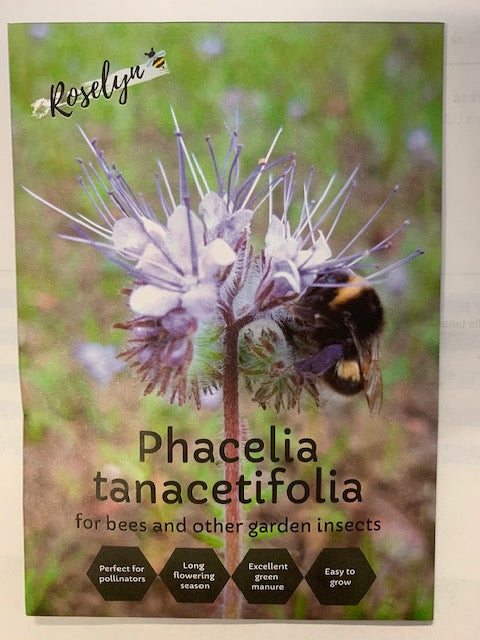 Roselyn Phacelia Tanacetifolia Plant Seeds