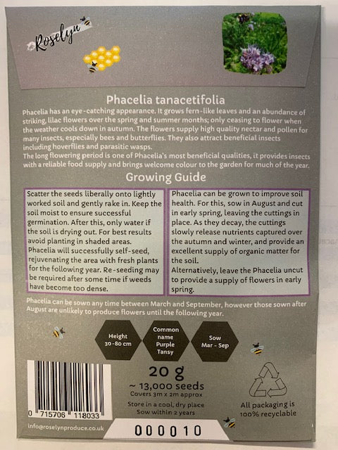 Roselyn Phacelia Tanacetifolia Plant Seeds