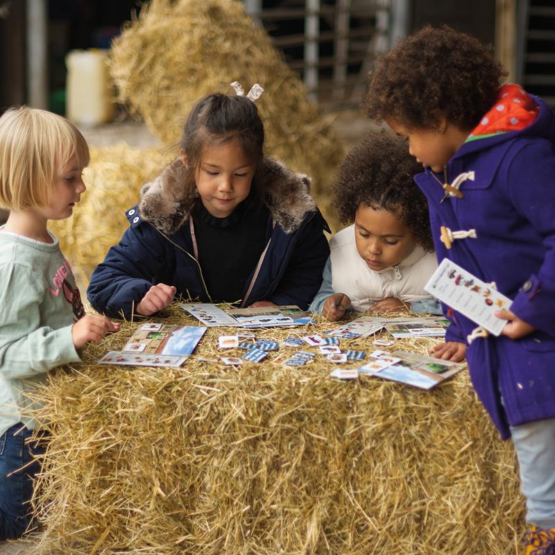 Tractor Ted Farm Market Game