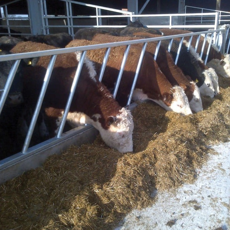 IAE Diagonal Fence Panel 915mm x 4220mm