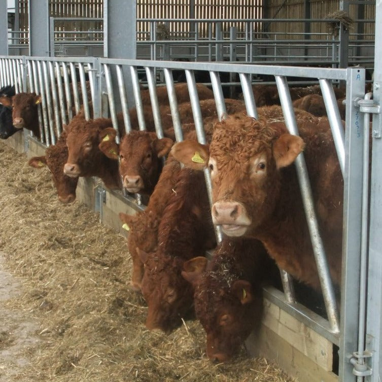 IAE Diagonal Fence Panel 915mm x 4220mm