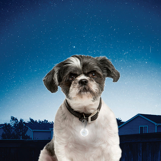 Nite Ize PetLit Collar Light