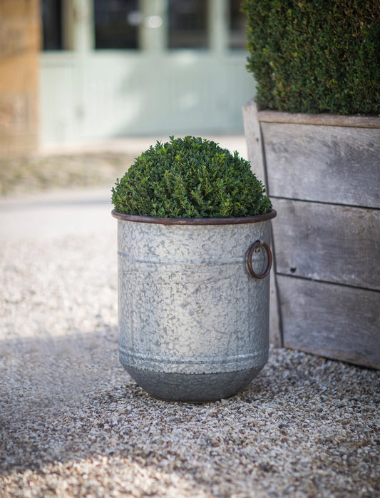 Garden Trading Malmesbury Planter