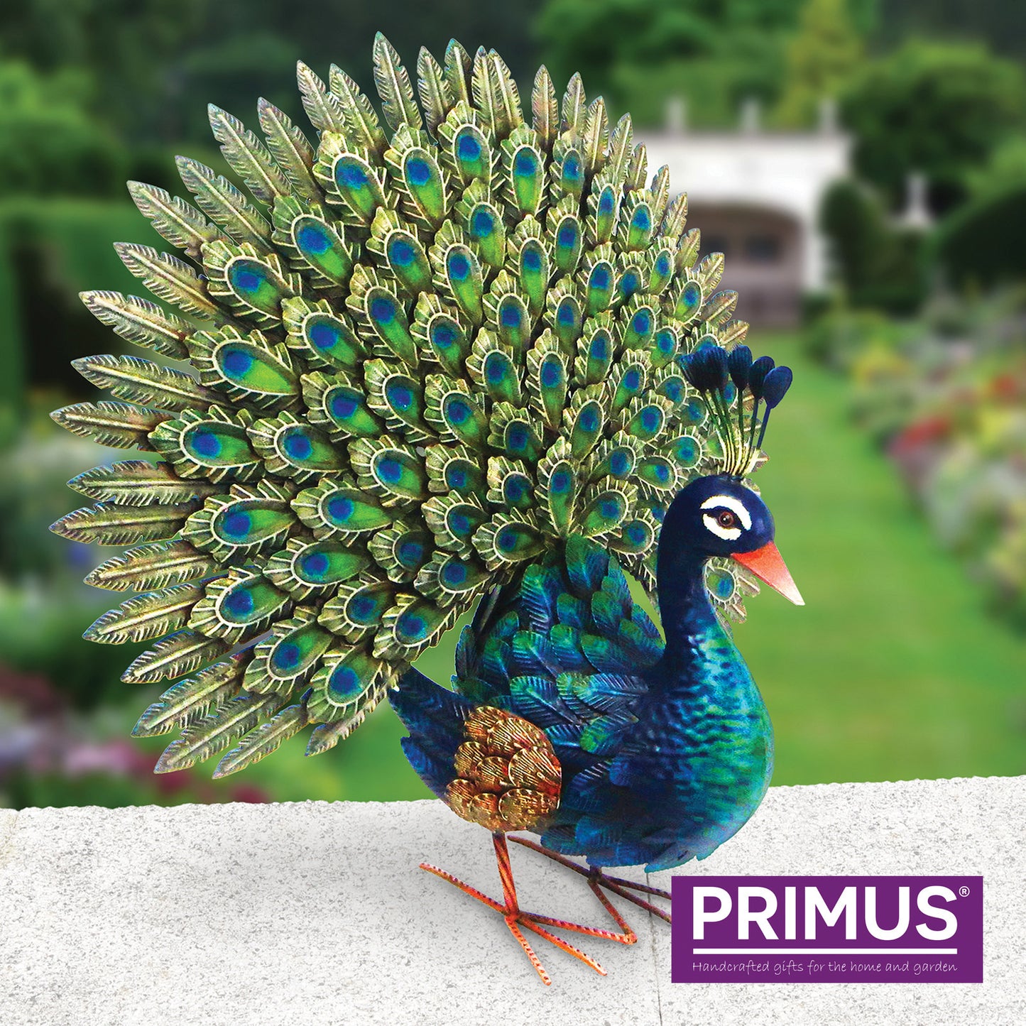 Primus Large Metal Displaying Peacock 64cm x 64cm
