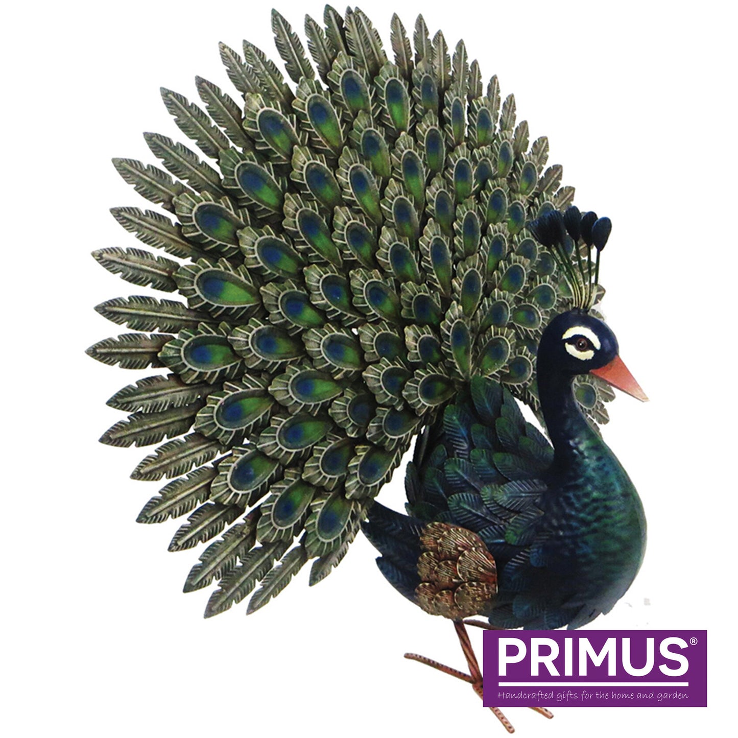 Primus Large Metal Displaying Peacock 64cm x 64cm