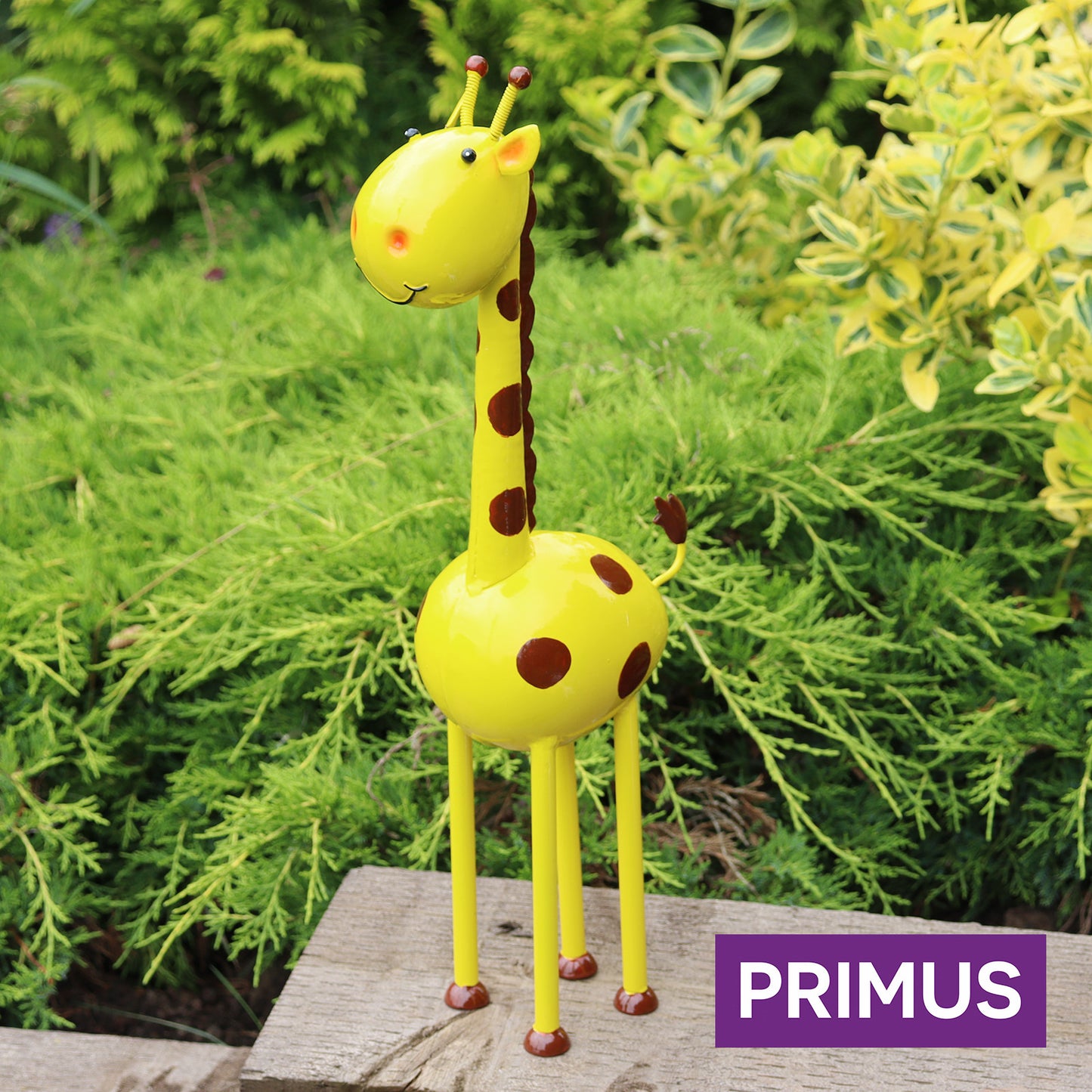 Primus Geoff The Giraffe Metal Zoo Animal