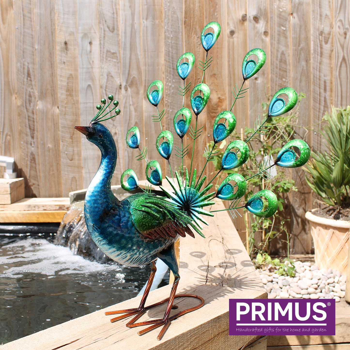 Primus Vibrant Fantail Peacock 42cm x 55cm