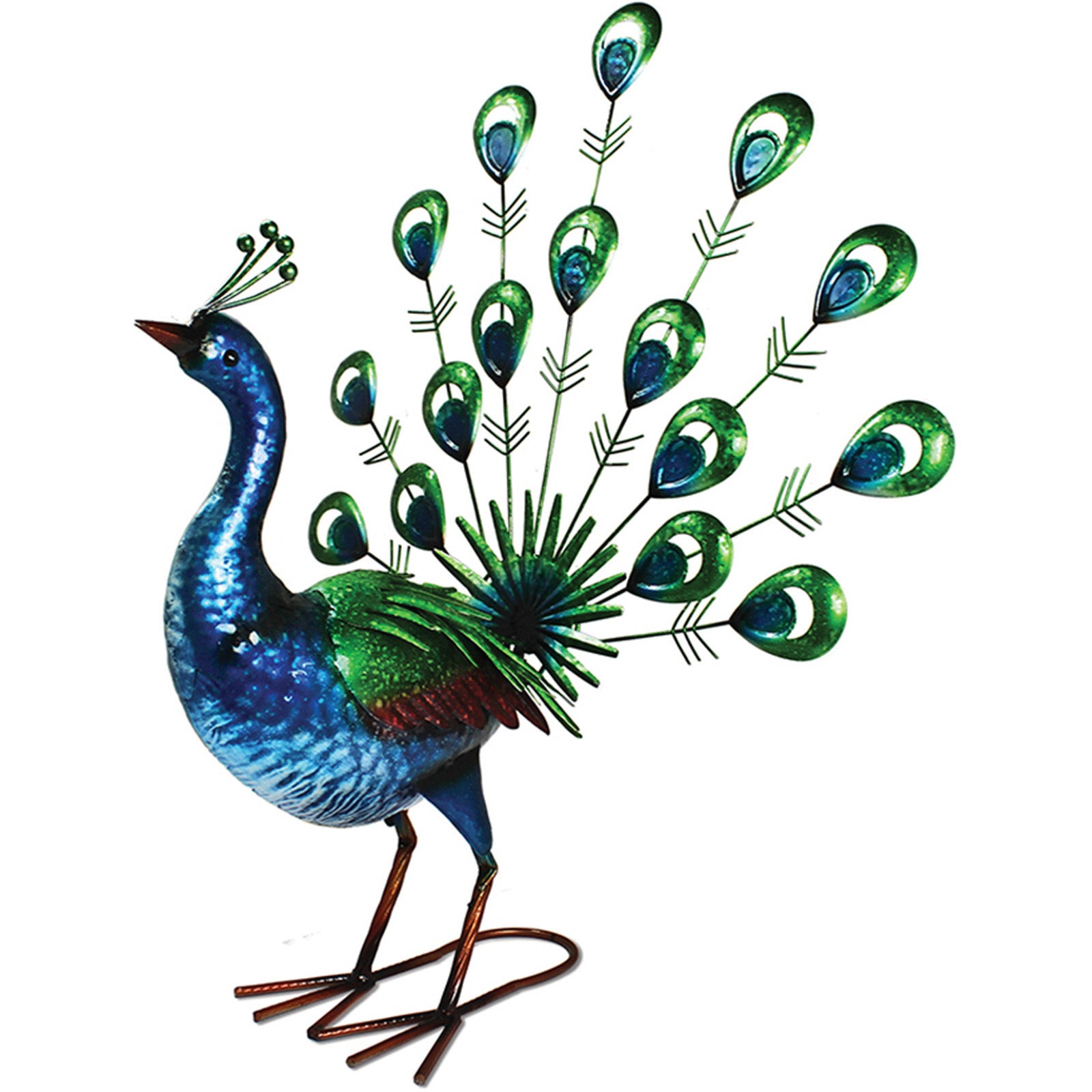 Primus Vibrant Fantail Peacock 42cm x 55cm