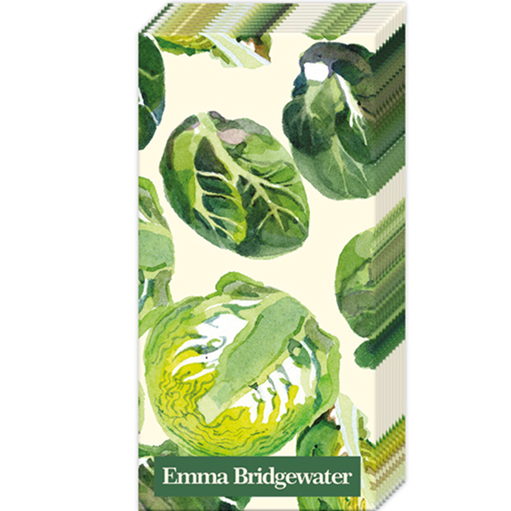 Emma Bridgewater Pocket Tissues Sprouts