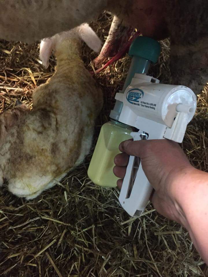 Udderly EZ Sheep Milker