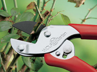 Wolf Garten General Purpose Anvil Secateur
