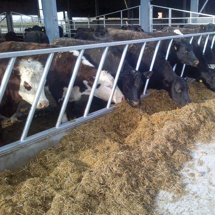 IAE Diagonal Fence Panel 915mm x 4220mm