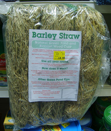 Animate Barley Straw for Ponds 60g 3 Pack