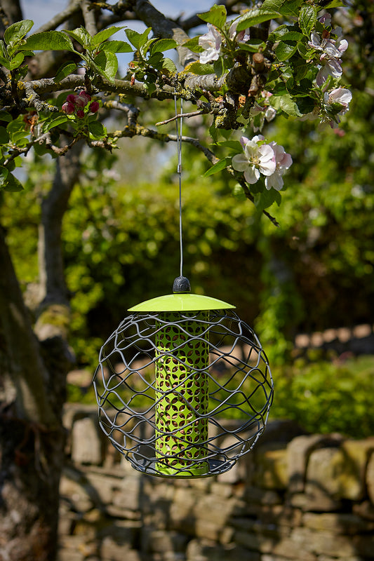 Tom Chambers Squirrel Resistant Sphere Peanut Feeder