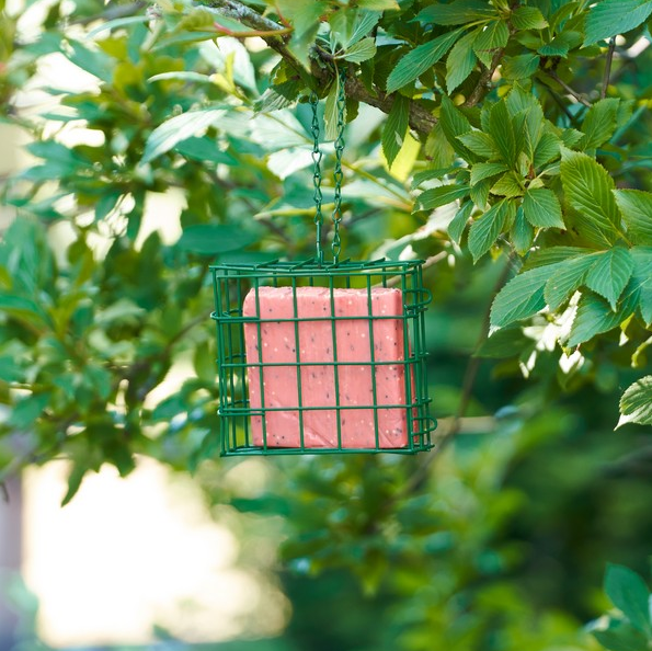 Harrisons Suet Block With Berries Box 10x300g