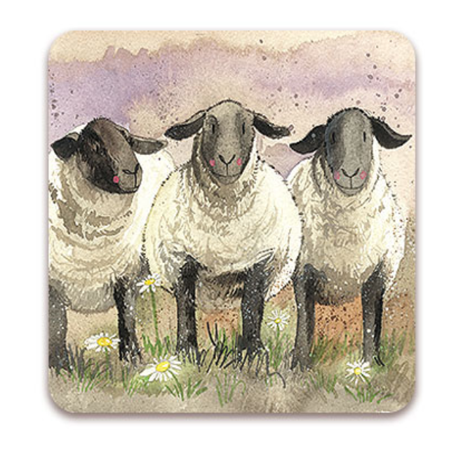 Alex Clark Suffolk Sheep Coaster
