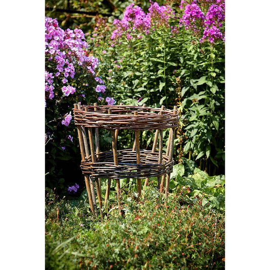 Tom Chambers Willow Herbaceous Support