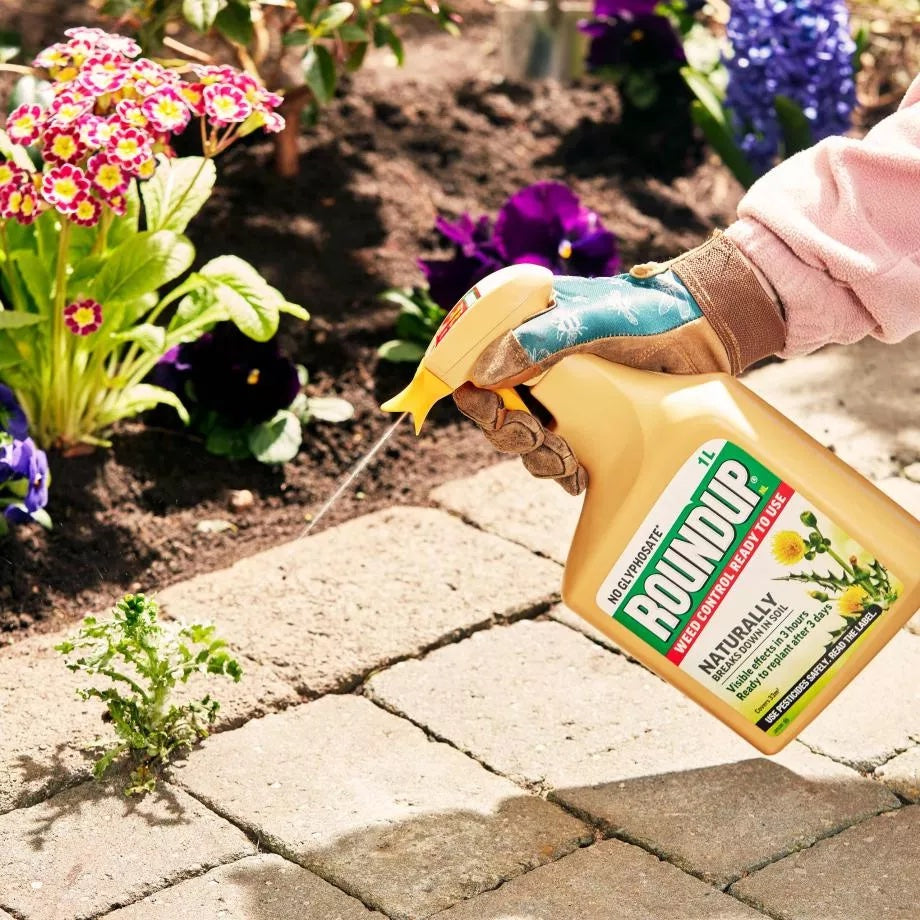 Roundup NL Weed Control Ready to Use Weedkiller 1L