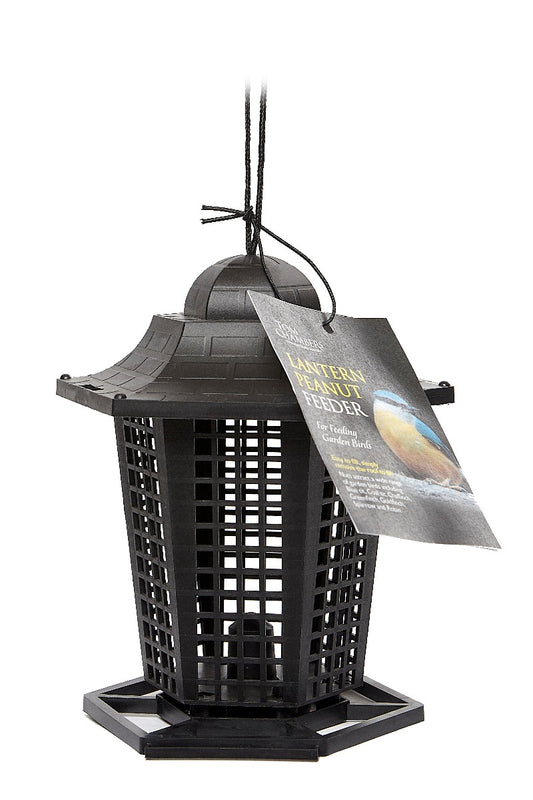Tom Chambers Lantern Peanut Feeder